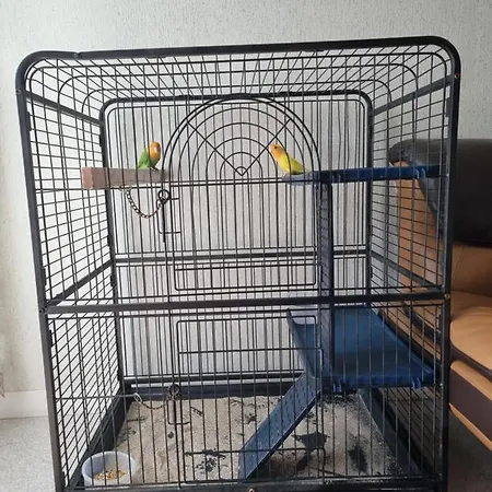 Armenia Holding Apartment *